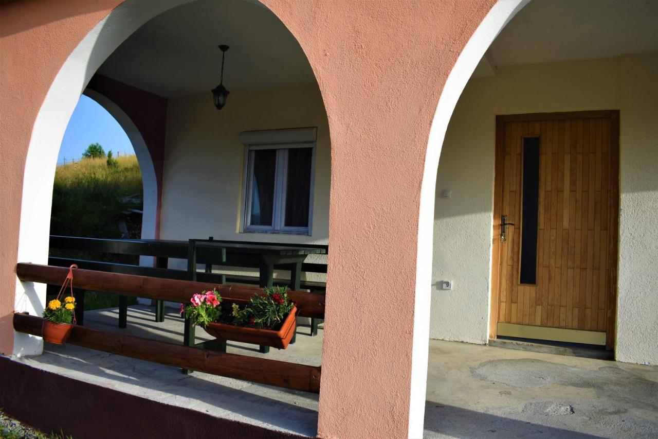 זבליאק Apartmani Mitrovic מראה חיצוני תמונה