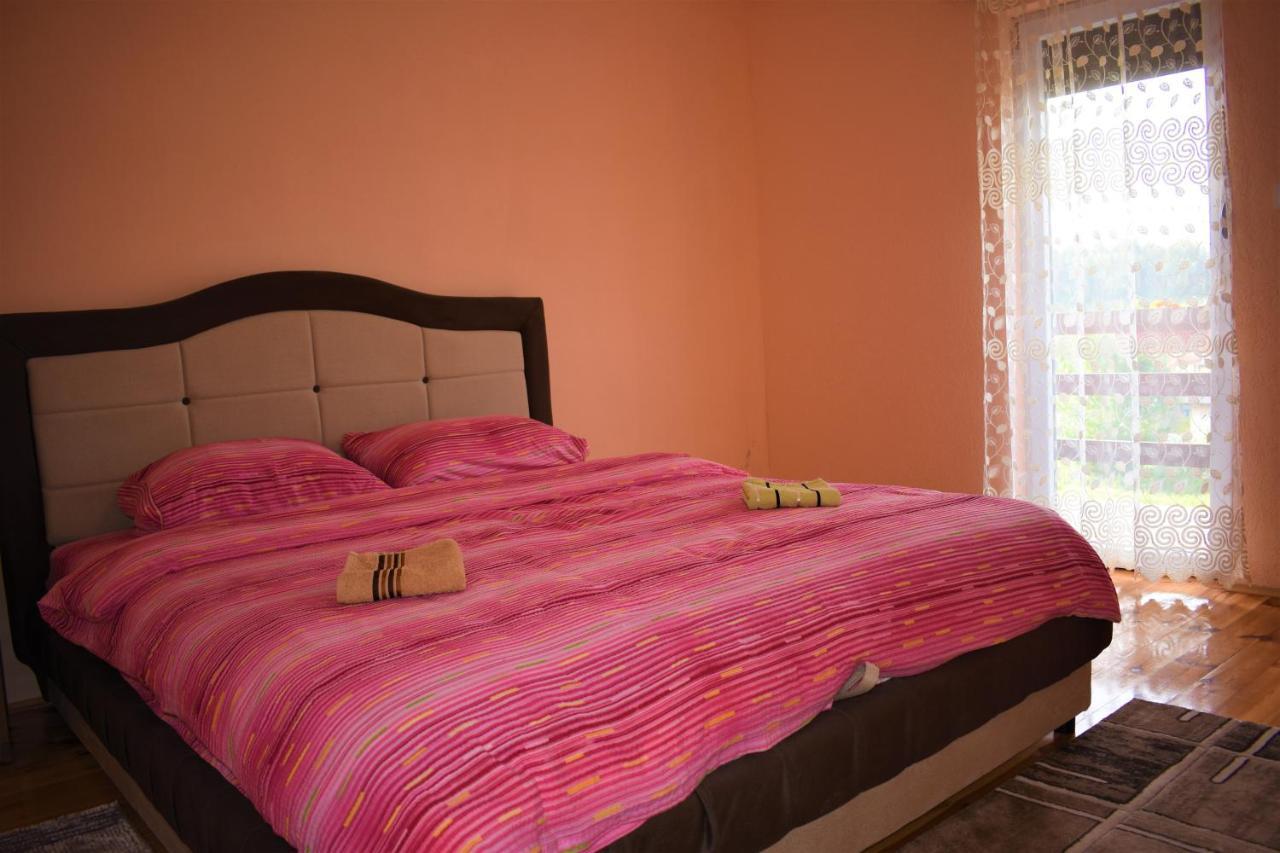 זבליאק Apartmani Mitrovic מראה חיצוני תמונה
