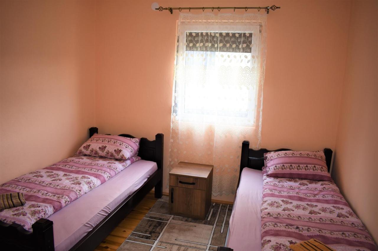 זבליאק Apartmani Mitrovic מראה חיצוני תמונה